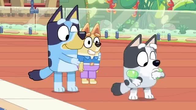 Weihnachten bei den Heelers.mp4